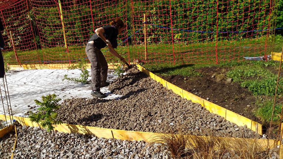 18300923_10155288735427248_4250983402050674991_n