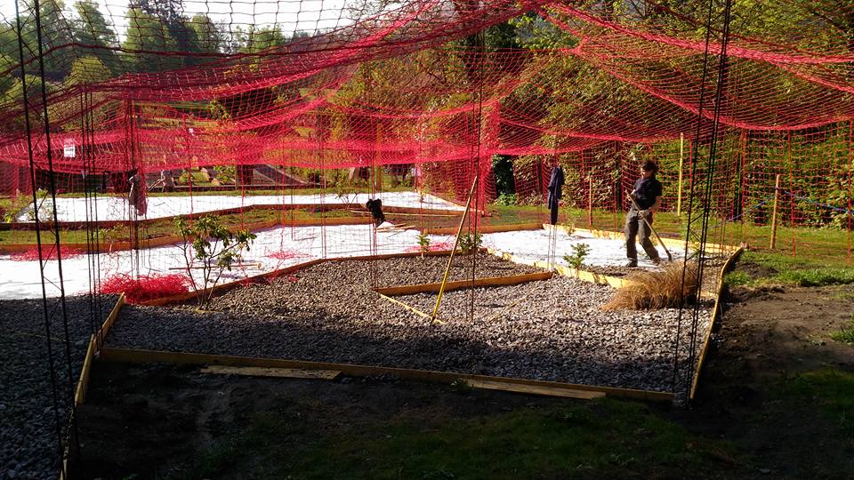 18301598_10155288735477248_5520527200184152293_n