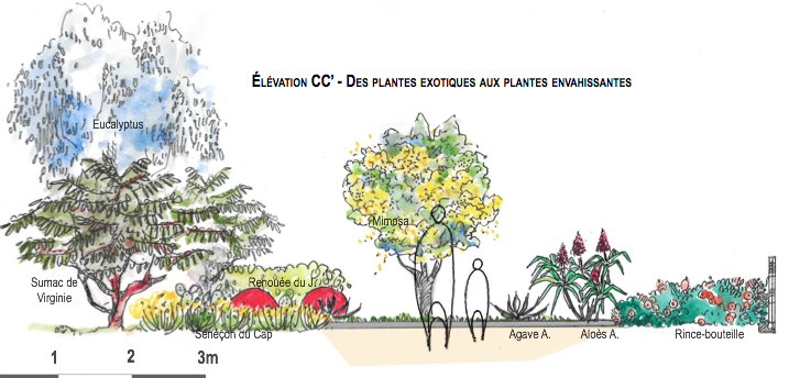 Capture d_écran 2017-01-31 à 16.15.42