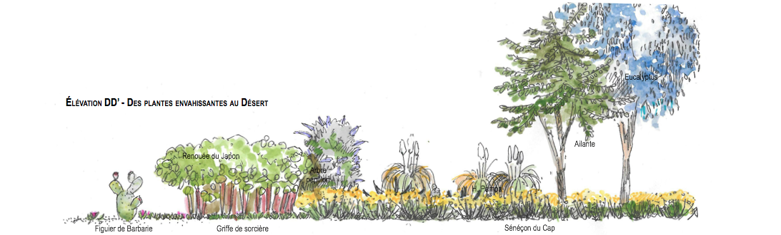 Capture d_écran 2017-01-31 à 16.16.54