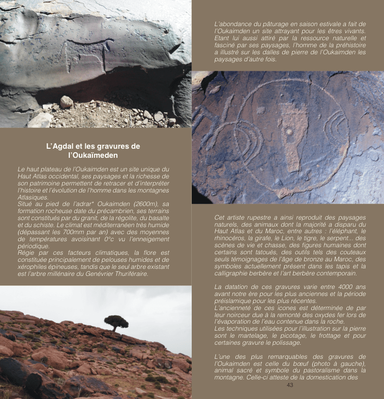 Capture d_écran 2017-05-22 à 13.12.16