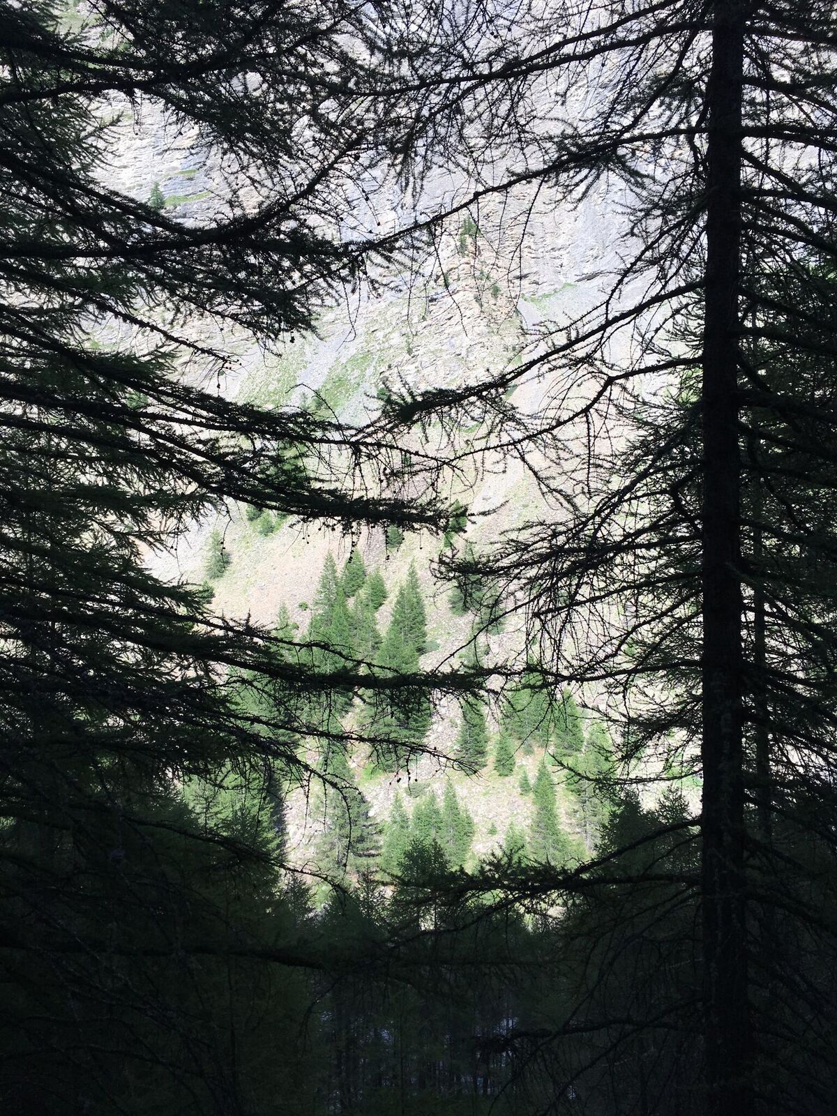 Photo 19-07-2017 18 04 25_preview