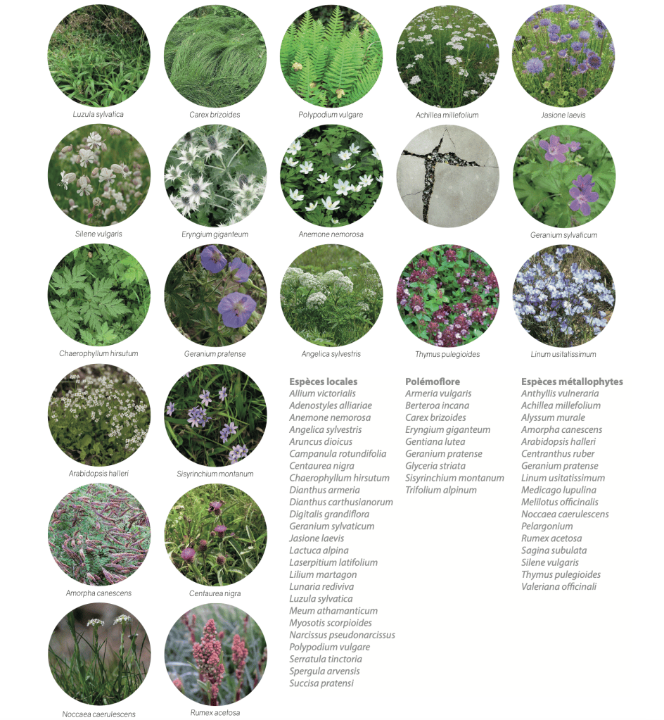 Jardins des émaux Art & Jardins – Hauts de France – LK